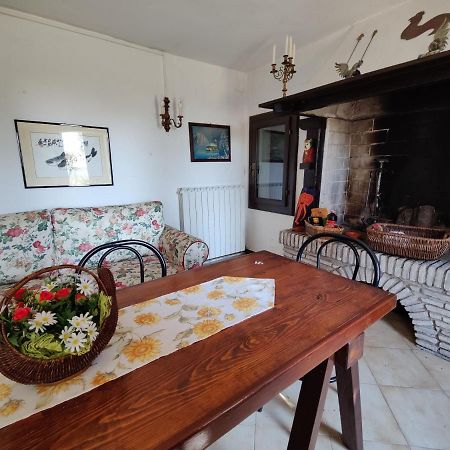 Ca Degli Aironi Villa Cittanova  Ngoại thất bức ảnh